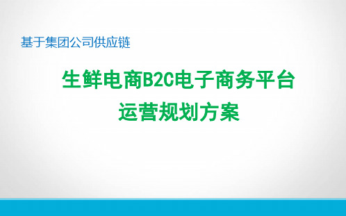 生鲜电商B2C电子商务平台运营规划方案