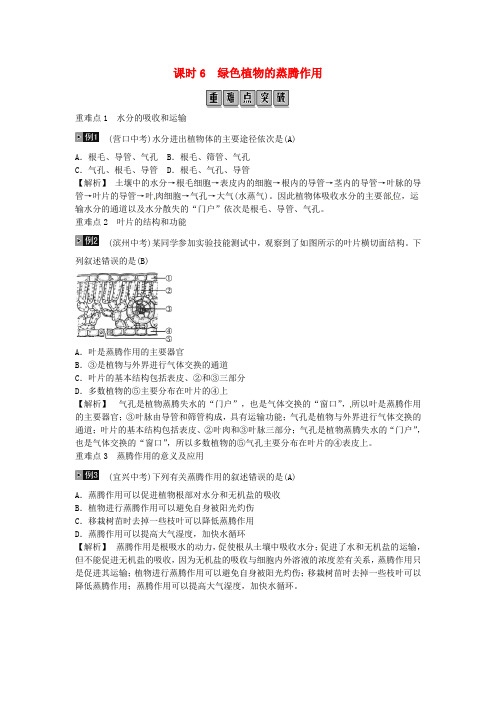 宁波市2019年中考生物总复习附答案主题三生物圈中的绿色植物课时6绿色植物的蒸腾作用90