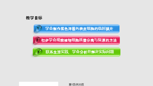 观察植物细胞质壁分离与复原实验PPT课件