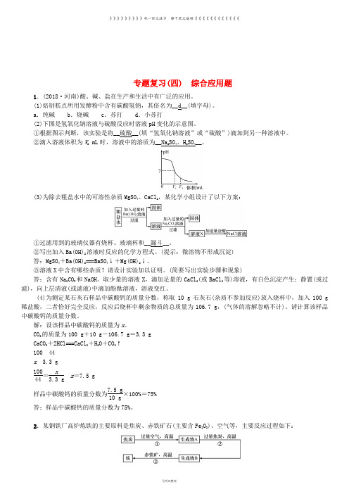 九年级化学下册 专题复习(四)综合应用题习题 (新版)新人教版