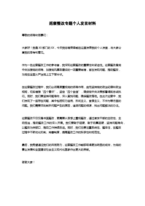 巡察整改专题个人发言材料