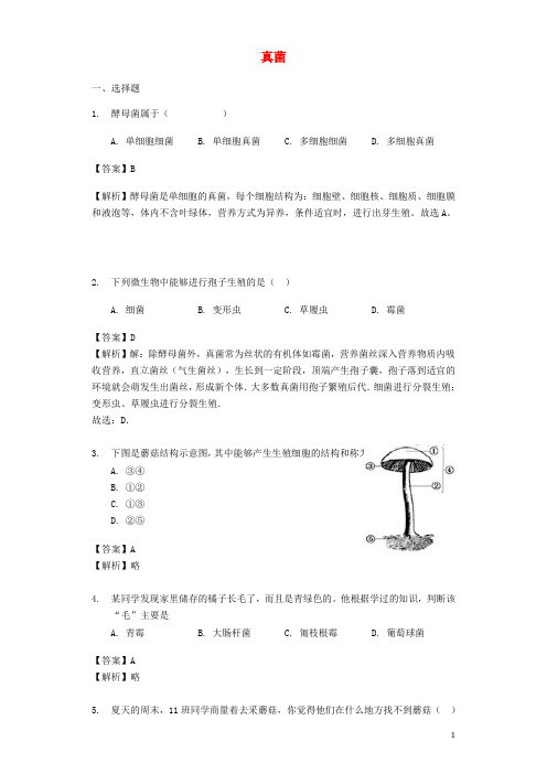 八年级生物上册5.4.3《真菌》练习(新版)新人教版