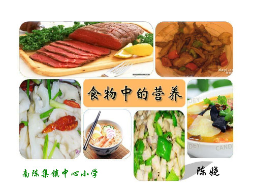 食物中的营养课件