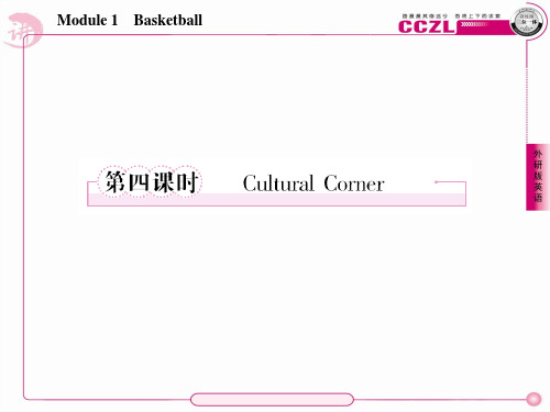 高二英语外研版选修7课件：1-4Cultural Corner