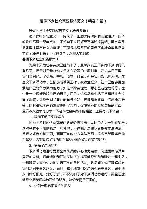 暑假下乡社会实践报告范文（精选5篇）