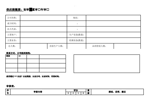 供应商审核报告