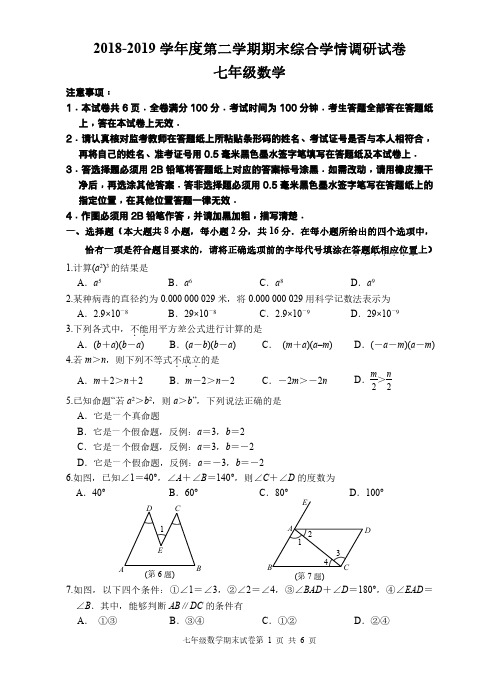 南京市玄武区2018-2019学年度第二学期七年级数学期末综合学情调研试卷