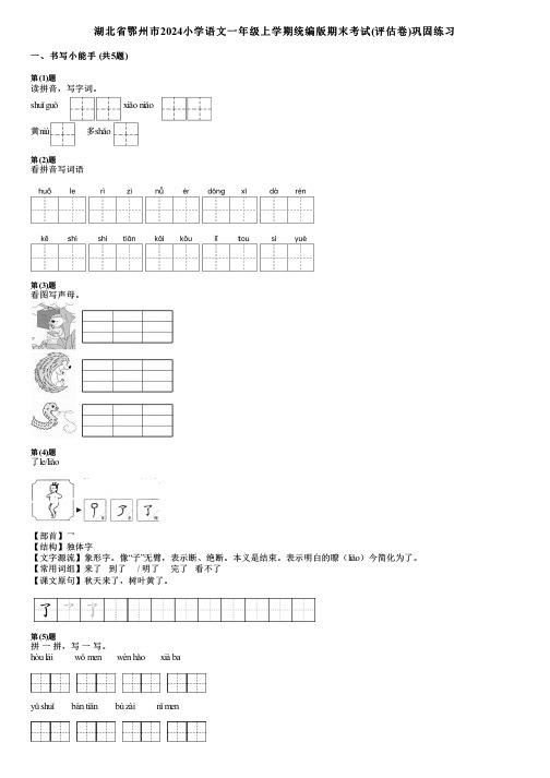 湖北省鄂州市2024小学语文一年级上学期统编版期末考试(评估卷)巩固练习