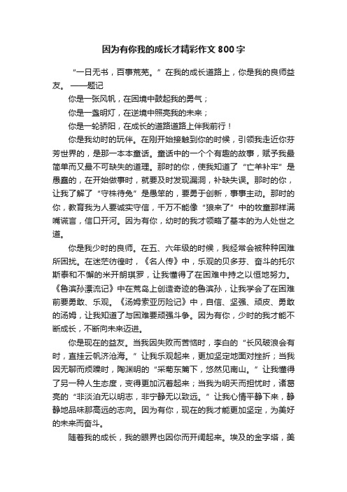 因为有你我的成长才精彩作文800字