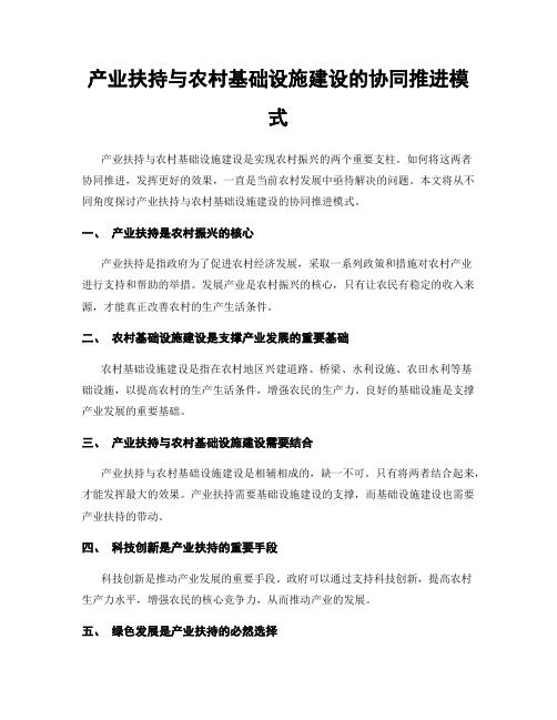 产业扶持与农村基础设施建设的协同推进模式