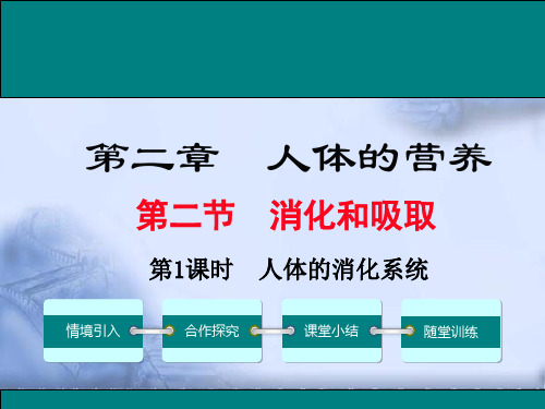 第二节人体的消化系统课件(人教版生物)