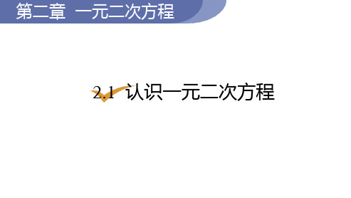 北师大版九年级数学上册 (认识一元二次方程)一元二次方程教育教学课件