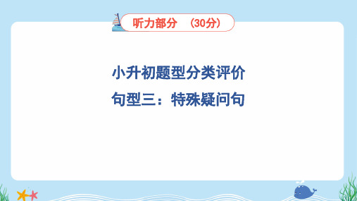 2024年人教pep版六年级下册英语小升初题型分类训练——句型三：特殊疑问句