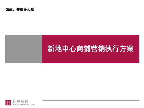 安徽新地中心商铺营销执行方案