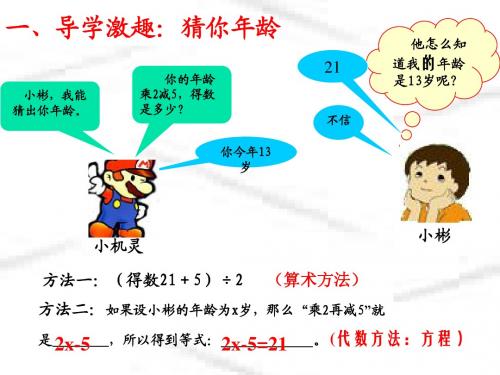 5.1认识一元一次方程