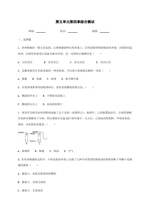 人教版生物八年级上册第五单元第四章细菌和真菌  综合测试(含答案)