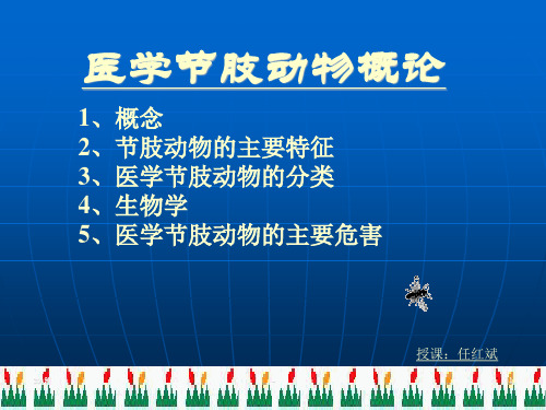 医学节肢动物概论ppt课件