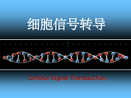 细胞信号转导