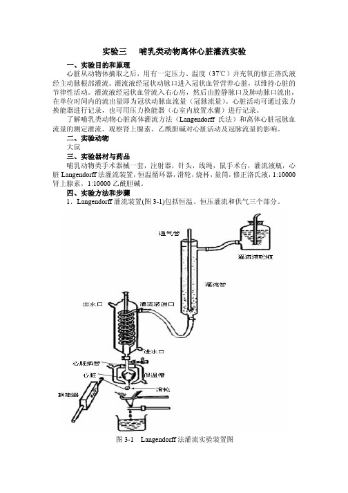 16-哺乳类动物离体心脏灌流实验