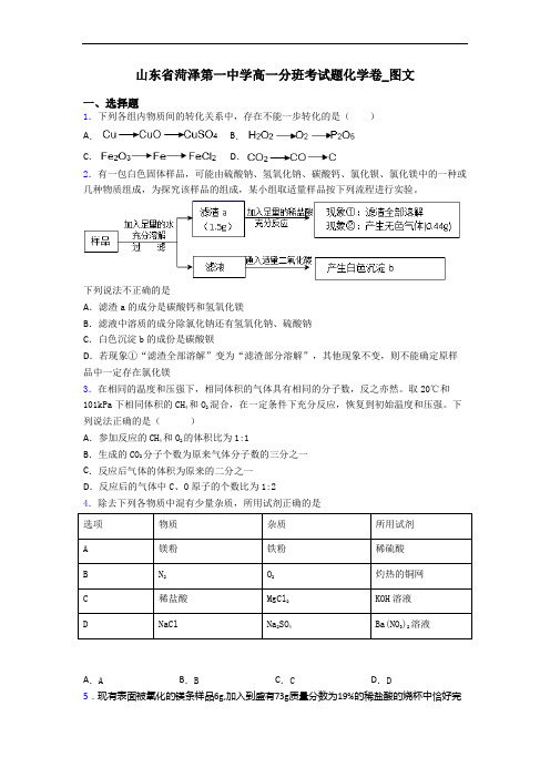 山东省菏泽第一中学高一分班考试题化学卷_图文