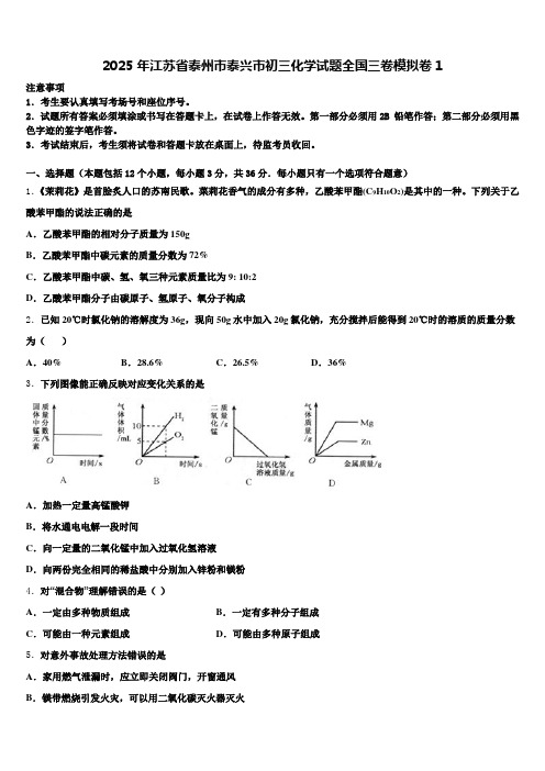 2025年江苏省泰州市泰兴市初三化学试题全国三卷模拟卷1含解析