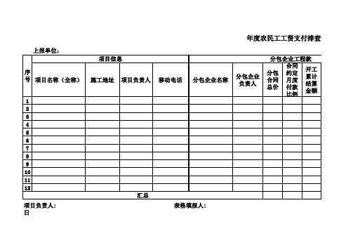 年度农民工工资支付排查统计表-标准模板