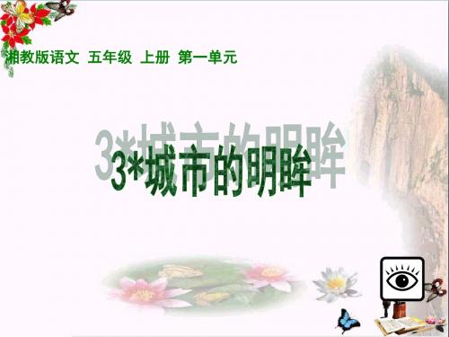 五年级语文上册第一单元城市的明眸PPT课件2湘教版