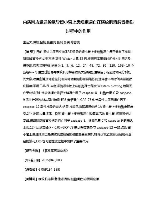 内质网应激途径诱导肾小管上皮细胞凋亡在横纹肌溶解肾损伤过程中的作用