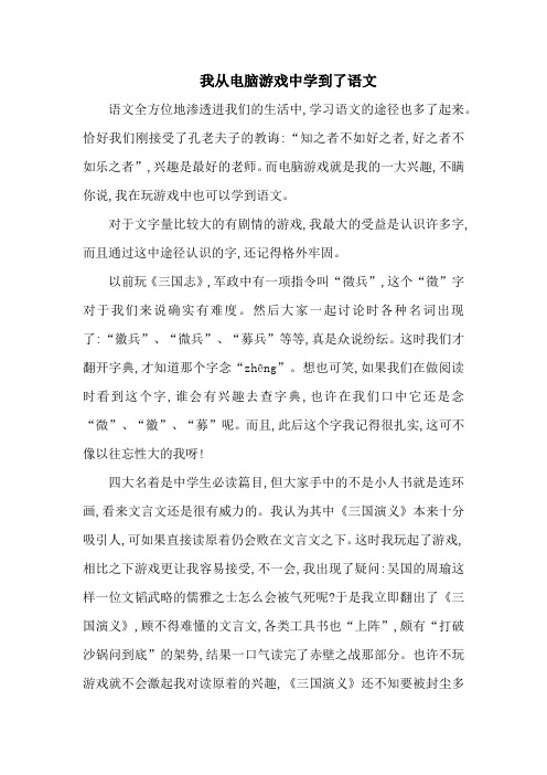 我从电脑游戏中学到了语文