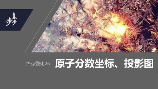 2024年高考化学一轮复习(全国版) 第12章 热点强化26 原子分数坐标、投影图