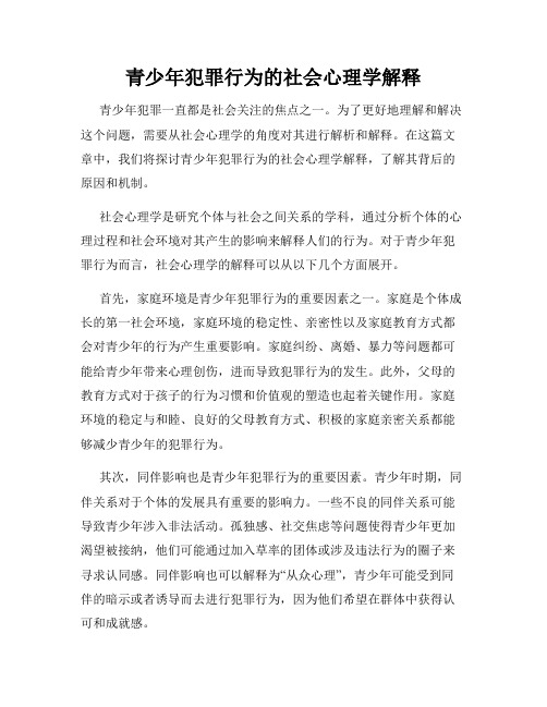 青少年犯罪行为的社会心理学解释