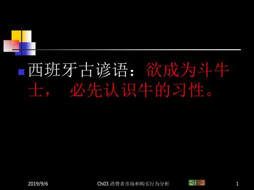 消费者市场与购买行为分析 25页PPT文档