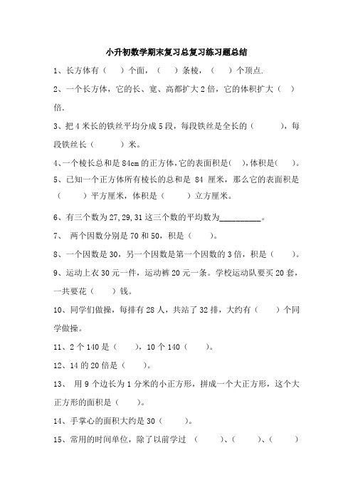 小升初数学期末复习总复习练习题总结13