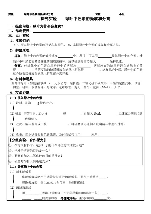 绿叶中色素的提取和分离实验学案