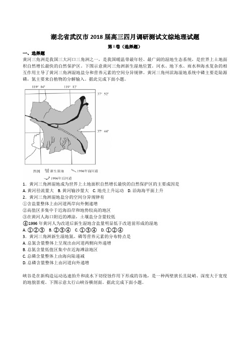 湖北省武汉市2018届高三四月调研测试文综地理试题