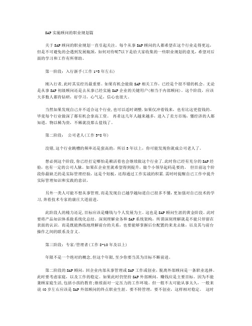 SAP实施顾问的职业规划篇