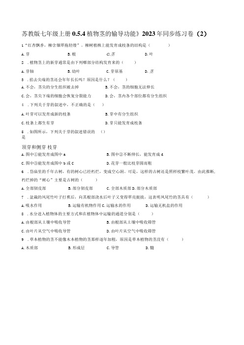 苏教版七年级上册《3.5.4 植物茎的输导功能》2023年同步练习卷(2)(附答案详解)