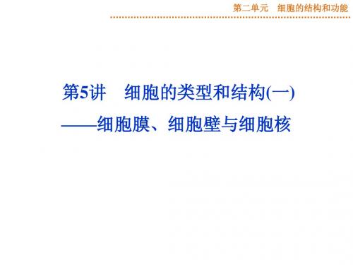 优化方案2015高考生物(苏教版)一轮课件：2.05细胞膜、细胞壁与细胞核