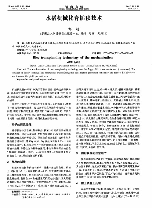水稻机械化育插秧技术