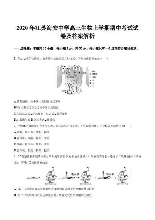 2020年江苏海安中学高三生物上学期期中考试试卷及答案解析