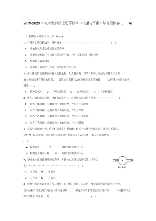 2019-2020年九年级科学上册第四章《代谢与平衡》综合检测卷(A)