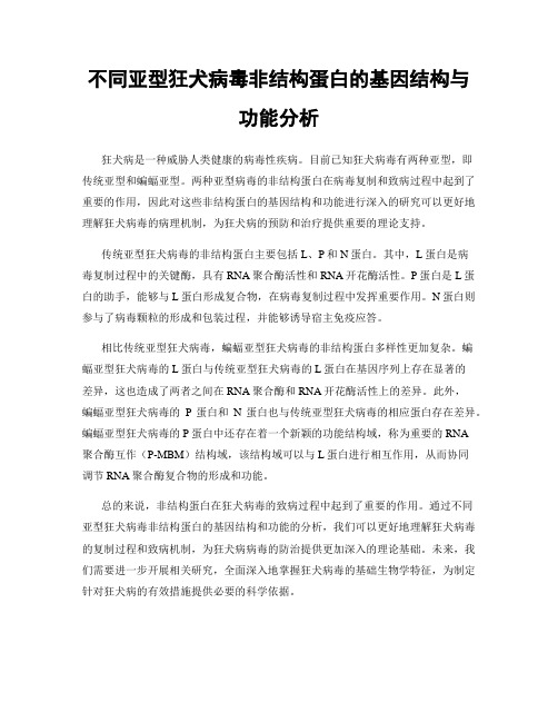 不同亚型狂犬病毒非结构蛋白的基因结构与功能分析