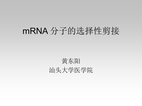 01-博士研究生课-高级生物化学与分子生物学-专题-mRNA分子的选择性剪接-黄东阳