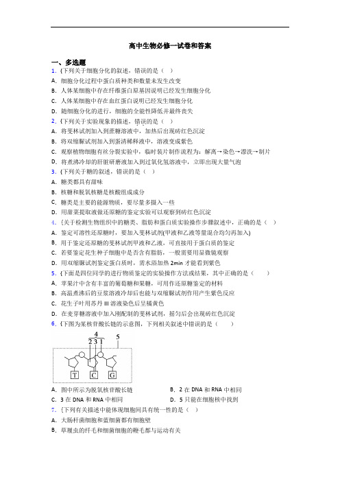 高中生物必修一试卷和答案