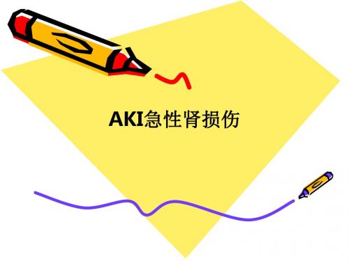 AKI急性肾损伤PPT课件