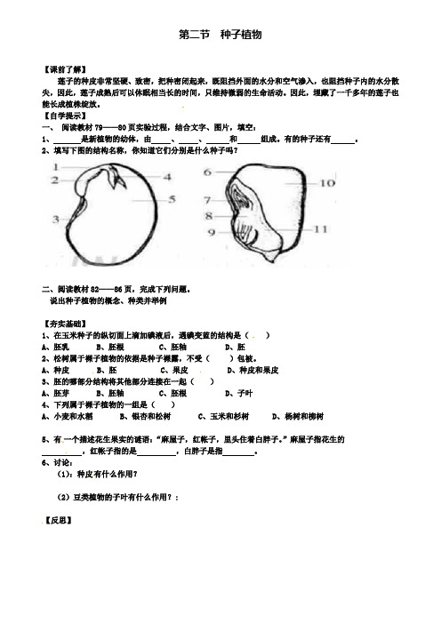 七年级生物上册3.1.2种子植物研学案