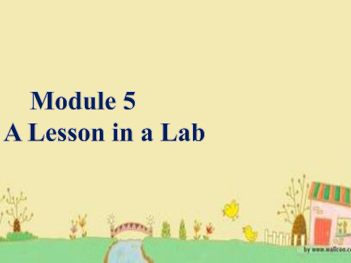 英语： Module 5 A Lesson in a Lab(第二课时)课件 外研版必修1