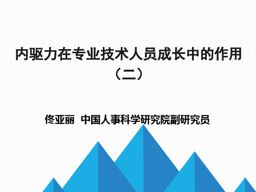 内驱力在专业技术人员成长中的作用2