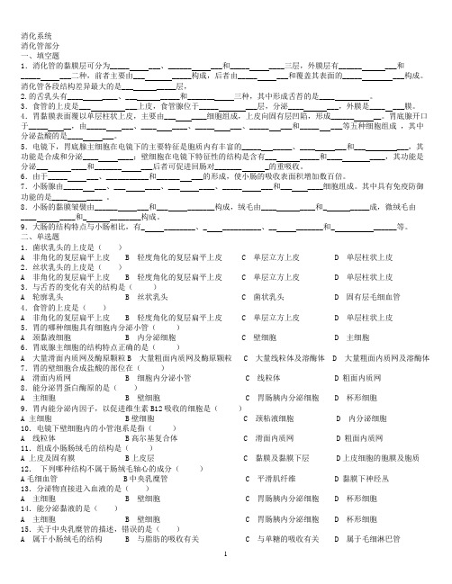 试题及答案-消化系统