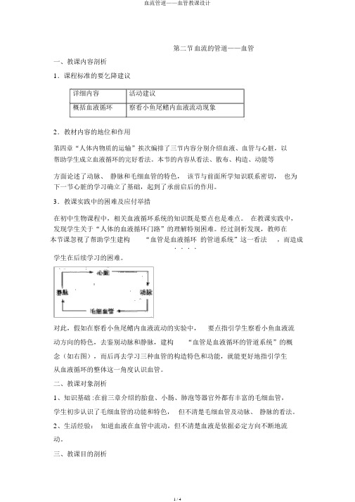 血流管道——血管教案